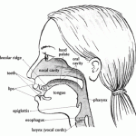 Birth Defects Attorneys in New Jersey and Philadelphia